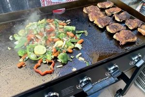 Best Food Truck Griddle: Cooking On Wheels! | World’s Most Delicious Foods: Must-Try Dishes from Every Country
