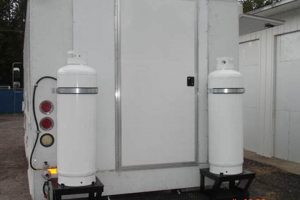 Food Truck: Secure 100 lb Propane Tank Cage - Safety First! | World’s Most Delicious Foods: Must-Try Dishes from Every Country