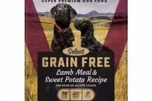 Best Low Fiber Dog Food: Brands & When to Use It | World’s Most Delicious Foods: Must-Try Dishes from Every Country