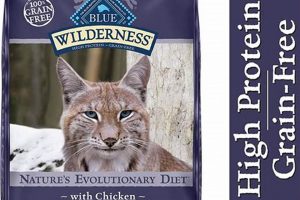 Top Picks: Best Dry Cat Food for Diabetic Cats Guide | World’s Most Delicious Foods: Must-Try Dishes from Every Country
