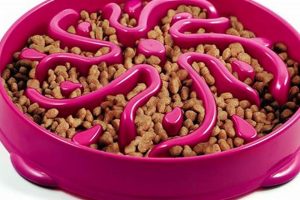 Slow Feeder Dog Food Bowl Maze: Fun & Healthy! | World’s Most Delicious Foods: Must-Try Dishes from Every Country