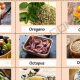 O-mazing! Foods That Start With O: Delicious &amp; Nutritious | World’s Most Delicious Foods: Must-Try Dishes from Every Country