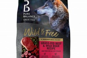 The Wild Choice: Best Wild Boar Dog Food For Your Dog! | World’s Most Delicious Foods: Must-Try Dishes from Every Country