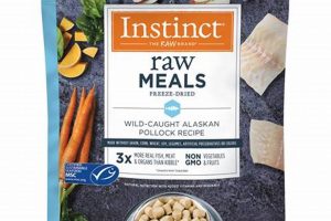 Best Instinct Freeze Dried Dog Food: Is It Right For Your Dog? | World’s Most Delicious Foods: Must-Try Dishes from Every Country