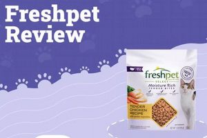 Top Freshpet Cat Food Reviews: Is It Worth It? | World’s Most Delicious Foods: Must-Try Dishes from Every Country
