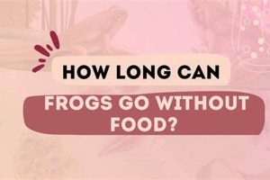 Frog Fasting: How Long Can Frogs Go Without Food? Tips | World’s Most Delicious Foods: Must-Try Dishes from Every Country