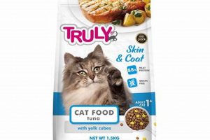 Best Cat Food for Skin & Coat: Healthy Cat, Happy Cat! | World’s Most Delicious Foods: Must-Try Dishes from Every Country