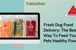 Buy Tukkamate Dog Food Online - [Benefits & Reviews] | World’s Most Delicious Foods: Must-Try Dishes from Every Country