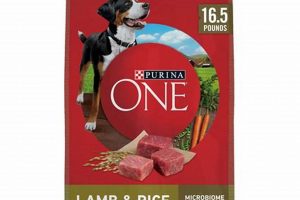 Best Dog Food with Lamb: Healthy & Tasty World’s Most Delicious Foods: Must-Try Dishes from Every Country Best Dog Food with Lamb: Healthy & Tasty | World’s Most Delicious Foods: Must-Try Dishes from Every Country