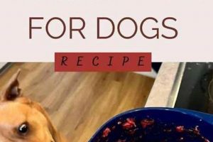 Organ Meat Dog Food: Super Nutrition Boost! World’s Most Delicious Foods: Must-Try Dishes from Every Country Organ Meat Dog Food: Super Nutrition Boost! | World’s Most Delicious Foods: Must-Try Dishes from Every Country