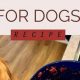 Organ Meat Dog Food: Super Nutrition Boost! | World’s Most Delicious Foods: Must-Try Dishes from Every Country