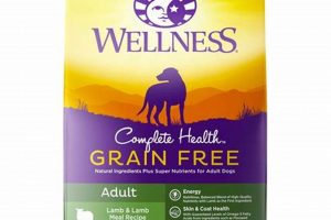 Is Wellness Grain-Free Dog Food Good? [Guide] | World’s Most Delicious Foods: Must-Try Dishes from Every Country