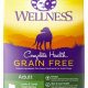 Is Wellness Grain-Free Dog Food Good? [Guide] | World’s Most Delicious Foods: Must-Try Dishes from Every Country