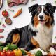 Guide: Best Dog Food for Mini Australian Shepherds in 2024 | World’s Most Delicious Foods: Must-Try Dishes from Every Country