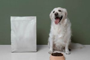 Best Dog Food for White Dogs: Diet & Coat Care Tips World’s Most Delicious Foods: Must-Try Dishes from Every Country Best Dog Food for White Dogs: Diet & Coat Care Tips | World’s Most Delicious Foods: Must-Try Dishes from Every Country