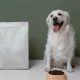 Best Dog Food for White Dogs: Diet & Coat Care Tips | World’s Most Delicious Foods: Must-Try Dishes from Every Country