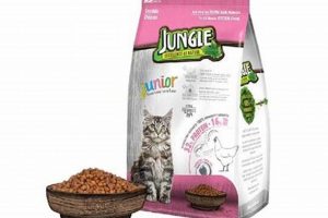 Best Junior Cat Food: Fueling Feline Growth Today! World’s Most Delicious Foods: Must-Try Dishes from Every Country Best Junior Cat Food: Fueling Feline Growth Today! | World’s Most Delicious Foods: Must-Try Dishes from Every Country