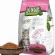 Best Junior Cat Food: Fueling Feline Growth Today! | World’s Most Delicious Foods: Must-Try Dishes from Every Country