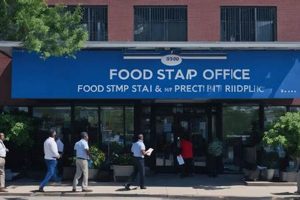 SNAP Info: Food Stamp Office Greenwood MS Near You World’s Most Delicious Foods: Must-Try Dishes from Every Country SNAP Info: Food Stamp Office Greenwood MS Near You | World’s Most Delicious Foods: Must-Try Dishes from Every Country