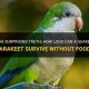Parakeets & Food: How Long Can They *Really* Last? | World’s Most Delicious Foods: Must-Try Dishes from Every Country