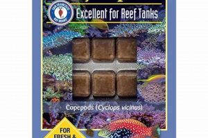 Best Live Cyclops Fish Food: Feed Your Fish Right! | World’s Most Delicious Foods: Must-Try Dishes from Every Country