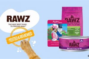 Is Rawz Cat Food Review Legit? + Alternatives! World’s Most Delicious Foods: Must-Try Dishes from Every Country Is Rawz Cat Food Review Legit? + Alternatives! | World’s Most Delicious Foods: Must-Try Dishes from Every Country
