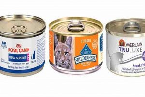 Best Low Protein Canned Cat Food: Diet & Health Tips World’s Most Delicious Foods: Must-Try Dishes from Every Country Best Low Protein Canned Cat Food: Diet & Health Tips | World’s Most Delicious Foods: Must-Try Dishes from Every Country