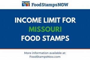 Missouri Food Stamps Number: Your Key + How To Use It World’s Most Delicious Foods: Must-Try Dishes from Every Country Missouri Food Stamps Number: Your Key + How To Use It | World’s Most Delicious Foods: Must-Try Dishes from Every Country