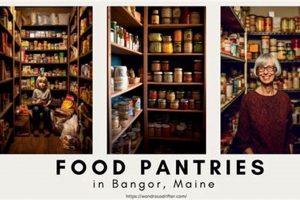 Bangor Maine Food Pantry: Find Help + Give Back | World’s Most Delicious Foods: Must-Try Dishes from Every Country