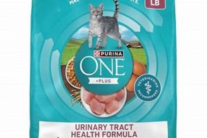 Top-Rated: Best Cat Food for UTIs & Prevention Guide World’s Most Delicious Foods: Must-Try Dishes from Every Country Top-Rated: Best Cat Food for UTIs & Prevention Guide | World’s Most Delicious Foods: Must-Try Dishes from Every Country
