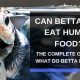 Betta Bites: What Human Food *Can* Betta Fish Eat? Guide | World’s Most Delicious Foods: Must-Try Dishes from Every Country