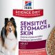 Best Canned Dog Food for Sensitive Stomachs: Diet & Care | World’s Most Delicious Foods: Must-Try Dishes from Every Country