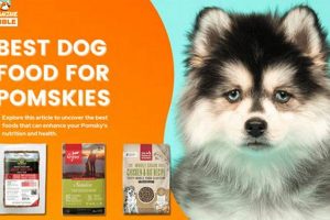 Best Dog Food for Pomskies: Nutrition Guide + Tips! World’s Most Delicious Foods: Must-Try Dishes from Every Country Best Dog Food for Pomskies: Nutrition Guide + Tips! | World’s Most Delicious Foods: Must-Try Dishes from Every Country