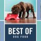 Best Top Dog Dog Food: Reviews & Nutrition Guide | World’s Most Delicious Foods: Must-Try Dishes from Every Country