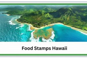 Estimate: Hawaii Food Stamps Calculator Benefits & More World’s Most Delicious Foods: Must-Try Dishes from Every Country Estimate: Hawaii Food Stamps Calculator Benefits & More | World’s Most Delicious Foods: Must-Try Dishes from Every Country
