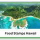 Estimate: Hawaii Food Stamps Calculator Benefits & More | World’s Most Delicious Foods: Must-Try Dishes from Every Country