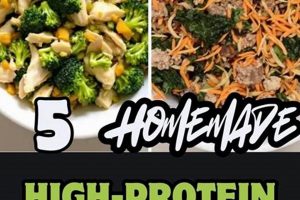 Fueling Dogs: High Protein Low Carb Diet Guide World’s Most Delicious Foods: Must-Try Dishes from Every Country Fueling Dogs: High Protein Low Carb Diet Guide | World’s Most Delicious Foods: Must-Try Dishes from Every Country