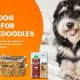 Top Bernedoodle Puppy Food: Fueling Your Best Friend | World’s Most Delicious Foods: Must-Try Dishes from Every Country