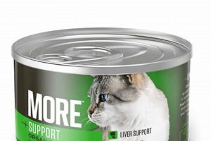 Best Cat Food for Liver Health: Diet & Treats | World’s Most Delicious Foods: Must-Try Dishes from Every Country
