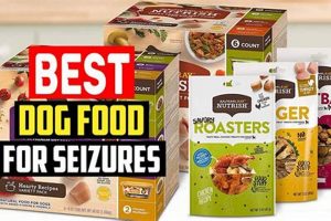 Best Dog Food for Seizures: Diet & Support World’s Most Delicious Foods: Must-Try Dishes from Every Country Best Dog Food for Seizures: Diet & Support | World’s Most Delicious Foods: Must-Try Dishes from Every Country