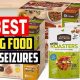 Best Dog Food for Seizures: Diet & Support | World’s Most Delicious Foods: Must-Try Dishes from Every Country