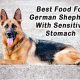 Top Picks: Best Food for German Shepherd Sensitive Stomach Guide | World’s Most Delicious Foods: Must-Try Dishes from Every Country