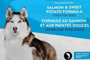 Dog Owners: Kirkland Salmon & Sweet Potato Recall Alert! World’s Most Delicious Foods: Must-Try Dishes from Every Country Dog Owners: Kirkland Salmon & Sweet Potato Recall Alert! | World’s Most Delicious Foods: Must-Try Dishes from Every Country