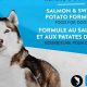 Dog Owners: Kirkland Salmon & Sweet Potato Recall Alert! | World’s Most Delicious Foods: Must-Try Dishes from Every Country