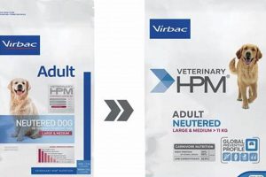 Best Food for Neutered Dogs: Fueling a Healthy Life + Guide World’s Most Delicious Foods: Must-Try Dishes from Every Country Best Food for Neutered Dogs: Fueling a Healthy Life + Guide | World’s Most Delicious Foods: Must-Try Dishes from Every Country