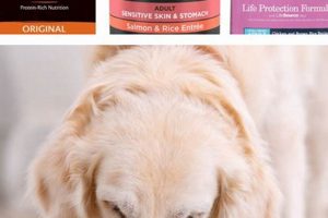 Best Low Residue Dog Food: Diet & Health Tips World’s Most Delicious Foods: Must-Try Dishes from Every Country Best Low Residue Dog Food: Diet & Health Tips | World’s Most Delicious Foods: Must-Try Dishes from Every Country