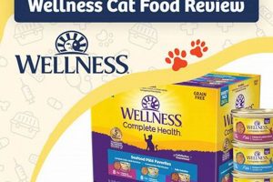 Is Wellness Cat Food Good? Honest Review & More! World’s Most Delicious Foods: Must-Try Dishes from Every Country Is Wellness Cat Food Good? Honest Review & More! | World’s Most Delicious Foods: Must-Try Dishes from Every Country