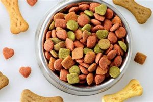 Dog Food: How Long Is Dry Dog Food Good For? Tips! World’s Most Delicious Foods: Must-Try Dishes from Every Country Dog Food: How Long Is Dry Dog Food Good For? Tips! | World’s Most Delicious Foods: Must-Try Dishes from Every Country