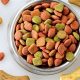 Dog Food: How Long Is Dry Dog Food Good For? Tips! | World’s Most Delicious Foods: Must-Try Dishes from Every Country