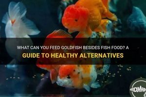 Beyond Flakes: What Can I Feed Goldfish Besides Fish Food? Tips! | World’s Most Delicious Foods: Must-Try Dishes from Every Country